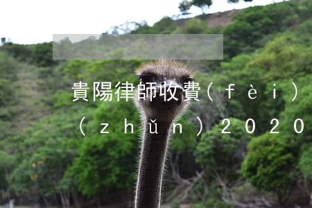 貴陽律師收費(fèi)標(biāo)準(zhǔn)2020(貴陽律師收費(fèi)標(biāo)準(zhǔn))