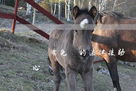貴陽有免費的法律援助嗎(貴陽市法律援助中心電話號碼)