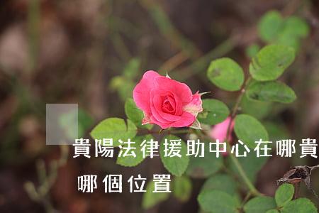 貴陽法律援助中心在哪(貴陽免費法律援助在哪個位置)