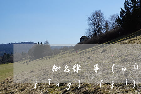 貴陽知名律師事務(wù)所(貴陽有名經(jīng)濟(jì)糾紛律師事務(wù)所)