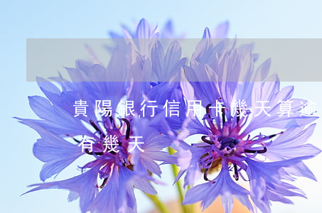 貴陽銀行信用卡幾天算逾期(貴陽銀行寬限期有幾天)