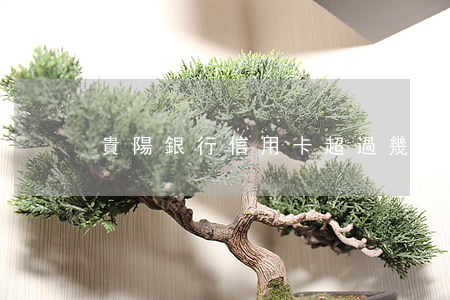 貴陽銀行信用卡超過幾天算逾期
