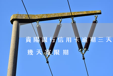 貴陽銀行信用卡逾期三天(貴陽銀行信用卡有幾天寬限期)