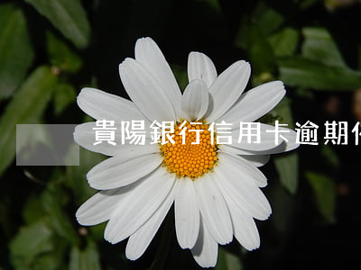 貴陽銀行信用卡逾期催收-貴陽催款公司