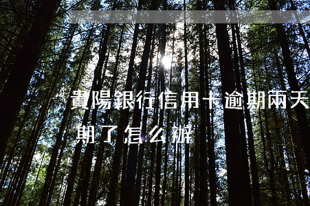 貴陽銀行信用卡逾期兩天(貴陽銀行信用卡過期了怎么辦)