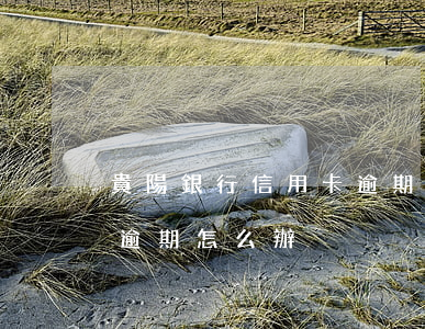 貴陽銀行信用卡逾期怎么辦(貴陽銀行信用卡逾期怎么辦)