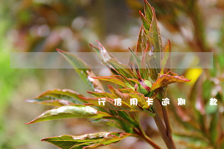 貴陽銀行信用卡逾期還款恢復(fù)使用