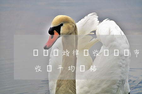 貴陽離婚律師收費(貴陽市律師服務(wù)收費平均價格)