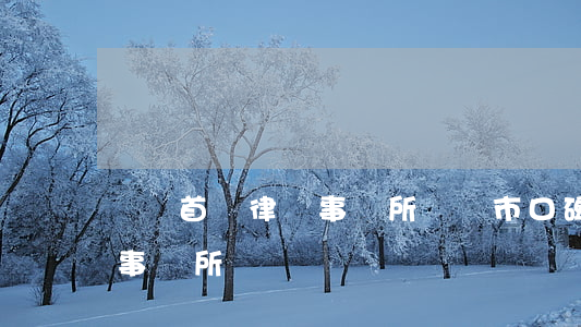 貴陽首約律師事務所(貴陽市口碑較好的律師事務所)