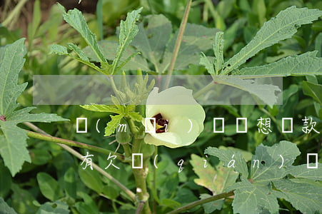 買(mǎi)單俠想還款怎么沒(méi)有欠錢(qián)記錄了-買(mǎi)單俠想還款怎么沒(méi)有欠錢(qián)記錄了呢