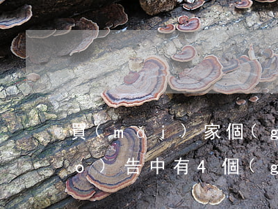 買(mǎi)家個(gè)人信用報(bào)告中有4個(gè)月逾期-買(mǎi)家個(gè)人信用報(bào)告中有4個(gè)月逾期怎么辦