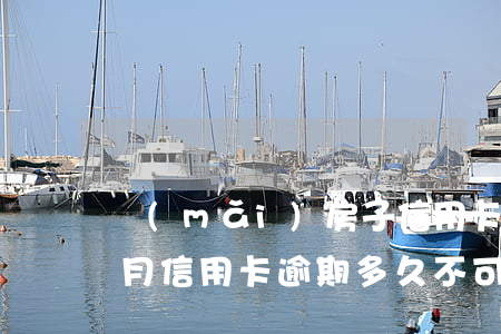 買(mǎi)房子信用卡逾期半個(gè)月(信用卡逾期多久不可以貸款買(mǎi)房)