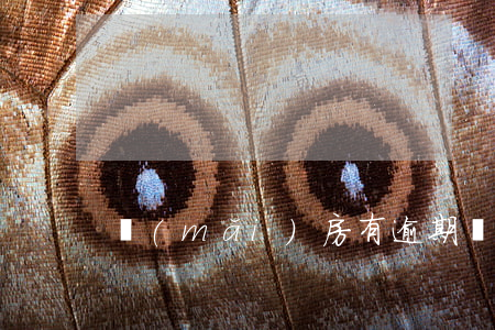 買(mǎi)房有逾期無(wú)法貸款