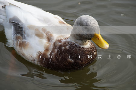 買(mǎi)房要注意哪些事項(xiàng)