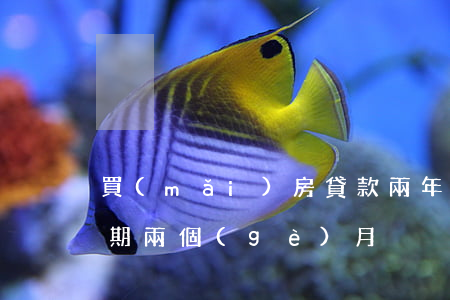 買(mǎi)房貸款兩年以外的逾期(房貸逾期兩個(gè)月)