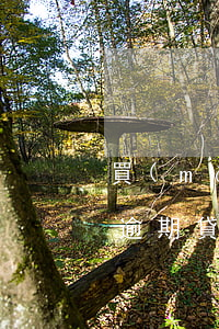 買(mǎi)房貸款時(shí)有以前的逾期(貸款買(mǎi)房有逾期能貸款嗎?)