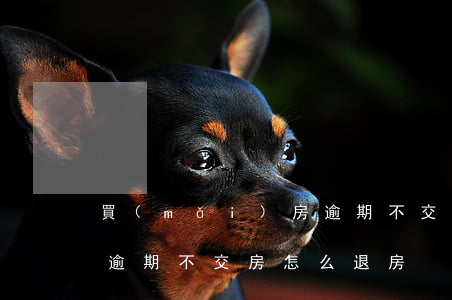 買(mǎi)房逾期不交可以起訴退房嗎-逾期不交房怎么退房