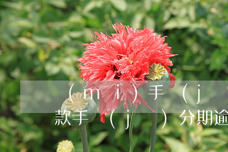 買(mǎi)手機(jī)逾期兩年怎么還款(手機(jī)分期逾期了兩年多怎么還?)