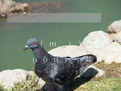 買(mǎi)買(mǎi)樂(lè)購(gòu)貸款逾期征信(買(mǎi)買(mǎi)樂(lè)購(gòu)貸款不還有一年了 總是發(fā)短信)