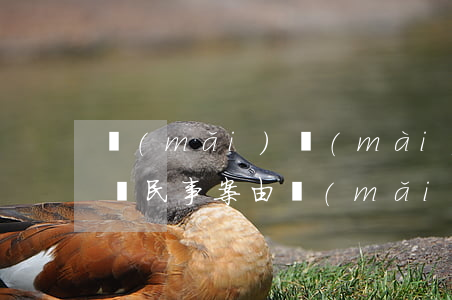 買(mǎi)賣(mài)合同糾紛如何訴訟(民事案由買(mǎi)賣(mài)合同糾紛)