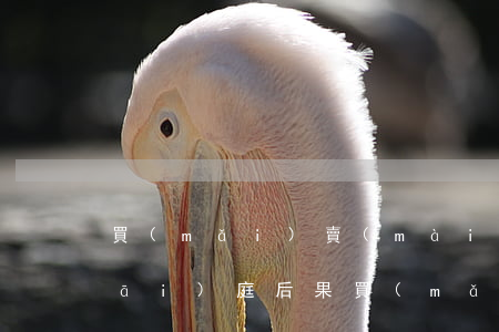 買(mǎi)賣(mài)合同糾紛開(kāi)庭后果(買(mǎi)賣(mài)合同糾紛被告不出庭這樣怎樣判?)