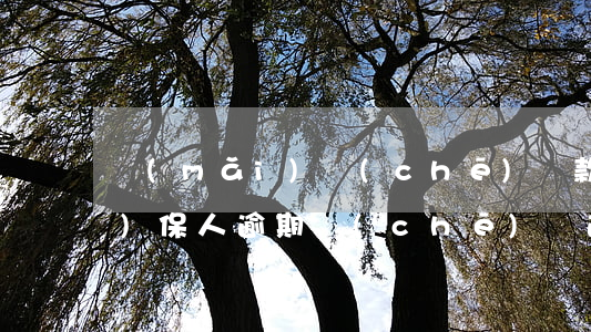 買(mǎi)車(chē)貸款擔(dān)保人逾期(車(chē)貸逾期金額還了擔(dān)保公司應(yīng)當(dāng)還車(chē)嗎?)