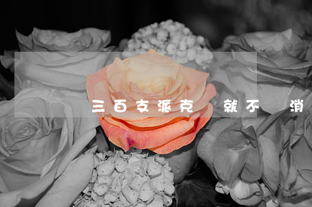 買三百支派克筆就不屬消費者?