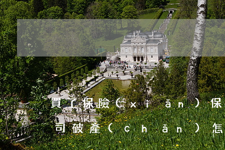 買了保險(xiǎn)保險(xiǎn)公司破產(chǎn)怎么辦