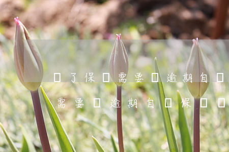 買了保險需要選逾期自墊保費嗎-買了保險需要選逾期自墊保費嗎是真的嗎