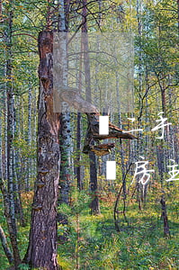 買二手房房主遲遲不過戶怎么辦（二手房沒過戶房主信用卡逾期）
