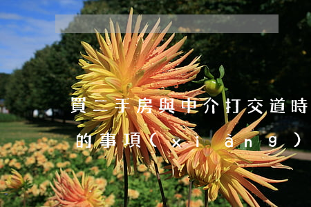 買二手房與中介打交道時(shí)要注意的事項(xiàng)有哪些