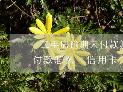 買二手房逾期未付款怎么辦(買二手房逾期未付款怎么辦信用卡)