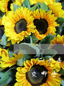 買二手房需要交哪些費用(天津買二手房需要交哪些費用)