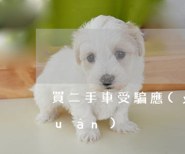 買二手車受騙應(yīng)如何維權(quán)
