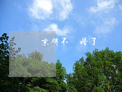 買京牌不離婚了