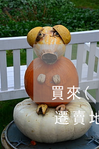買來(lái)的宅基地進(jìn)行拆遷賣地村民要分享補(bǔ)償款合理嗎