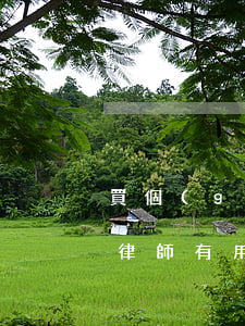 買個(gè)事故車找律師有用嗎(出車禍找律師有用嗎)