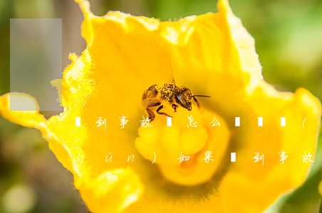 買到事故車怎么賠償標(biāo)準(zhǔn)(如果買到事故車4s店要怎么賠償)