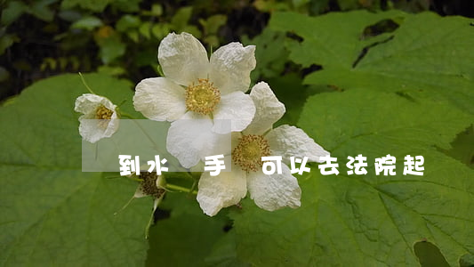 買到水貨手機可以去法院起訴嗎