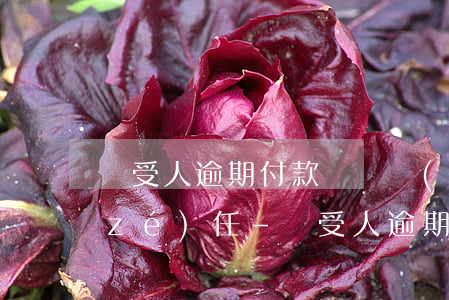 買受人逾期付款與開發(fā)商法律責(zé)任-買受人逾期付款與開發(fā)商逾期交房承擔相同的法律責(zé)任