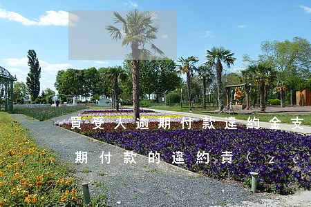 買受人逾期付款違約金支付金額-買受人逾期付款的違約責(zé)任
