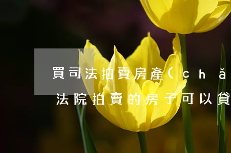 買司法拍賣房產(chǎn)可以用貸款嗎(法院拍賣的房子可以貸款)