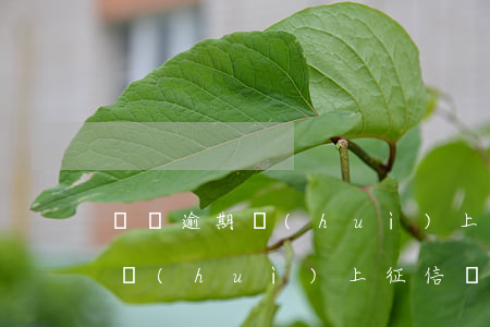 買唄逾期會(huì)上征信嗎(借唄逾期就會(huì)上征信嗎)