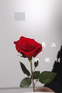買商品分期付款逾期了有什么后果-買商品分期付款逾期了有什么后果嗎