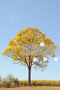 買商鋪遇到逾期交付在哪里投訴-買了商鋪逾期未交房能退嗎