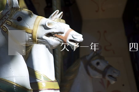買單俠欠了一年(買單俠四年沒還)
