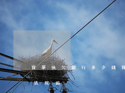買單俠欠銀行多少錢(買單俠借款不還會起訴法院嘛)