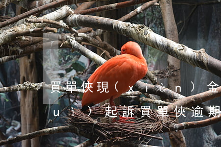 買單俠現(xiàn)金貸逾期多久會(huì)起訴(買單俠逾期2年了收到法院起訴警告了)