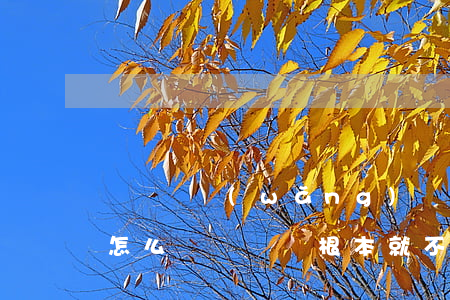 買單俠網(wǎng)貸不還會(huì)怎么辦(買單俠根本就不上征信)