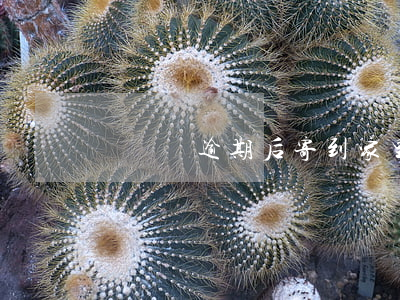 買單俠逾期后寄到家里的律師函